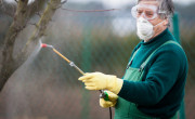 Using chemicals in the garden/orchard