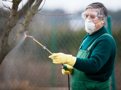 Using chemicals in the garden/orchard